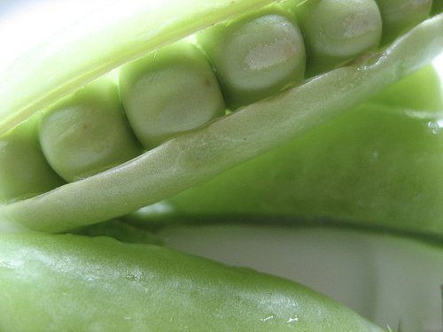 erter bør være en del av ditt daglige kosthold