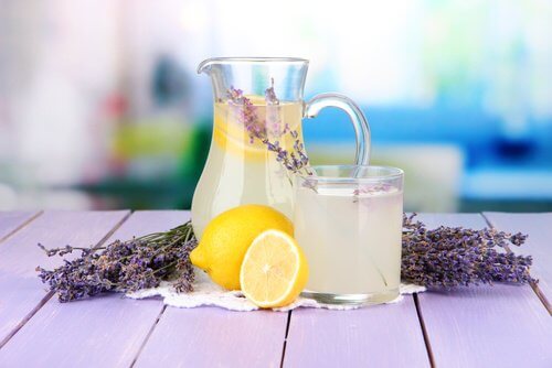 lavendar-lemonade-with-plant