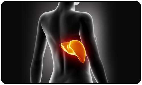 Unhealthy Liver? 7 Signs It's Not Working Properly