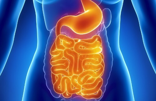 What Can You Eat to Restore Gut Flora?