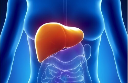 How to Help Treat Fatty Liver Disease Naturally