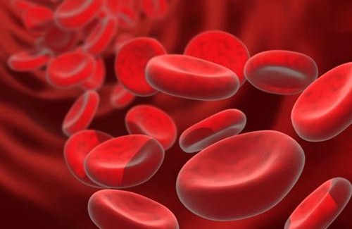 Fight Iron Deficiency Anemia with These 9 Strategies