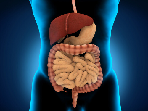 start your day with a glass of water to help the digestive tract
