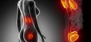 Problems that Can Arise from Holding Your Pee