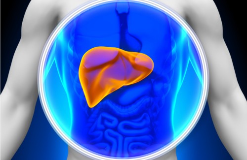 How to Care for Your Liver