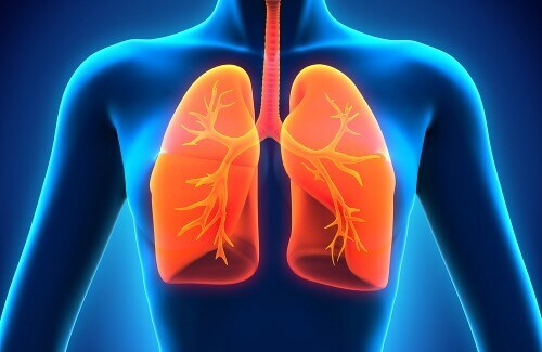 How to Clean Your Lungs Naturally