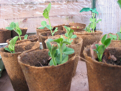 Choose the right containers