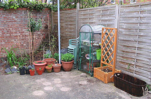 Bestäm plats för din grönsaks trädgård