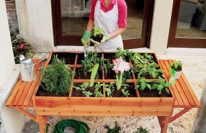 How to Set up an Urban Organic Vegetable Garden