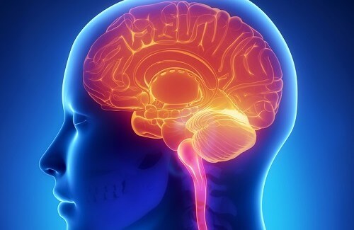 Multiple sclerosis affects the brain