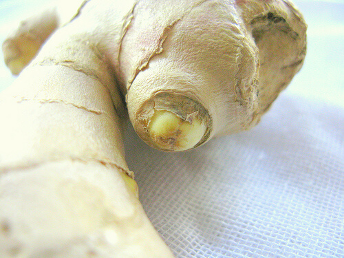 Root ginger is very beneficial for your health