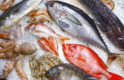 5 Types of Fish That You Should Avoid