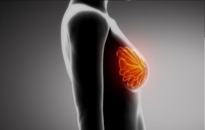 How Beneficial Is Wearing a Bra?