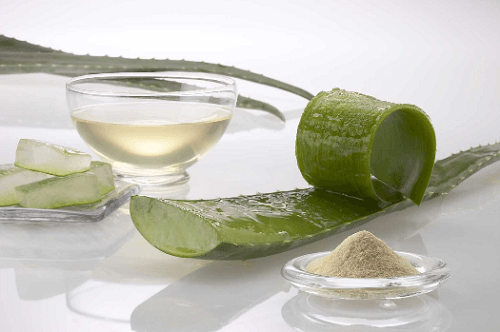 Aloe vera is good for acne scars and skin health.