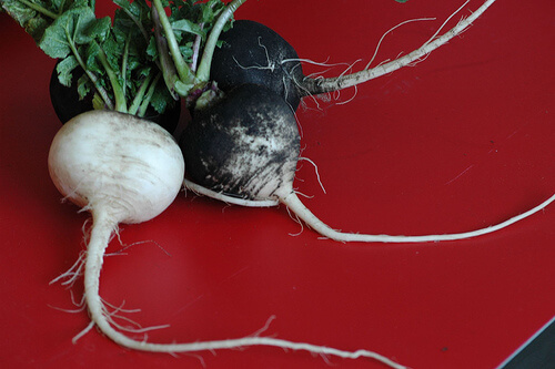 Three black radishes together.