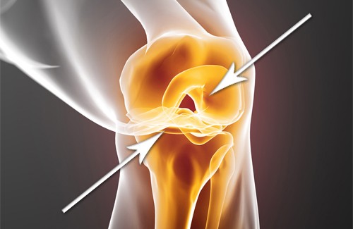 How to Quickly Regenerate Damaged Cartilage