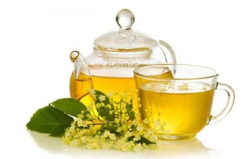 Herbs to Gain Weight: Dandilion tea