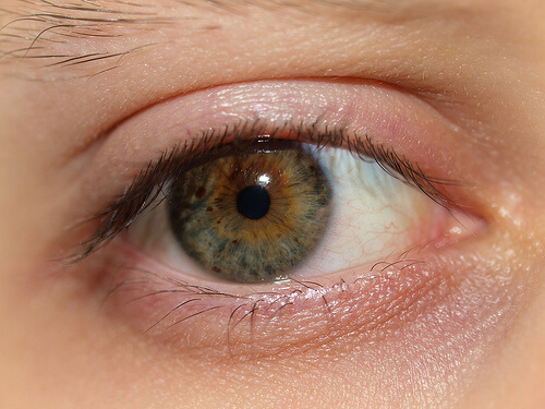 Eyes