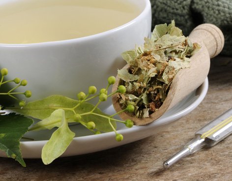 Herbs to Gain Weight: Gentian