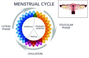 Possible Causes of Irregular Periods