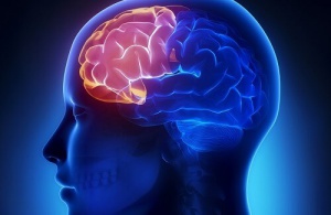 Homemade Smoothies to Help Improve Your Memory