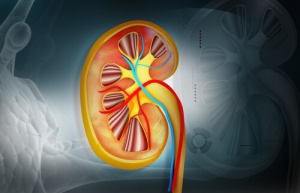 Diuretic Foods that Cleanse Your Body