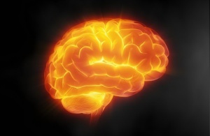 7 Tips for Taking Care of Your Brain