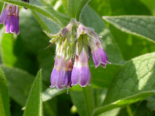 tendinitis treatment