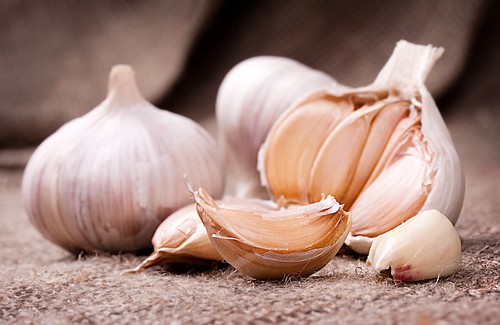 Medicinal Ways of Preparing Garlic