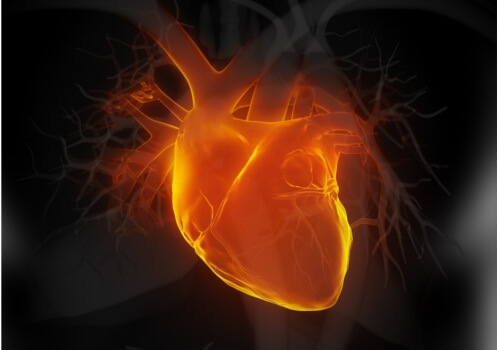 Illuminated heart