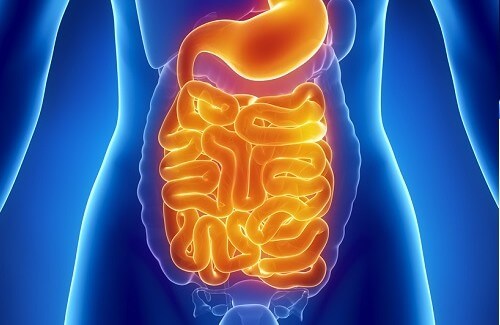 Ideal Foods to Cleanse The Intestines
