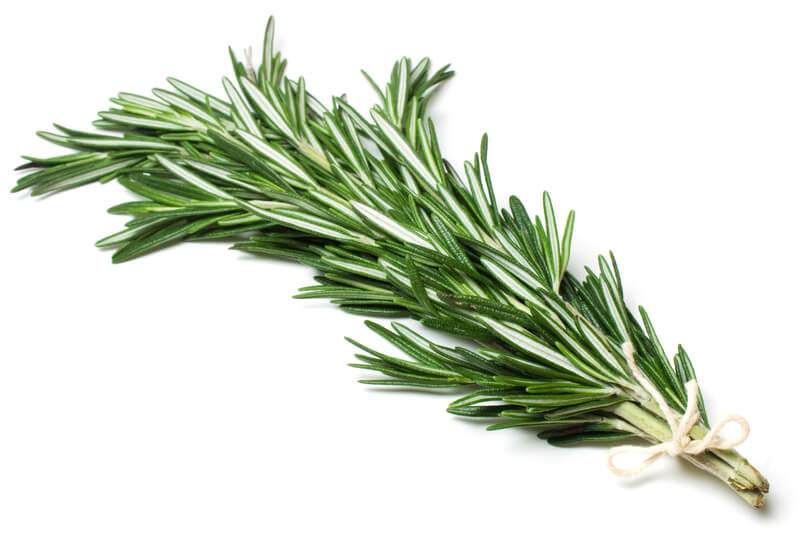 Using rosemary for bone and joint pain