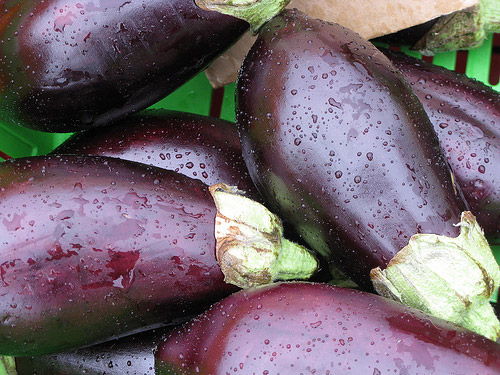 lose weight with Eggplants