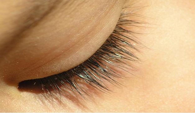 perfect Eyelashes