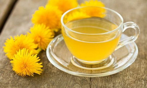 Dandelion infusion to treat uric acid