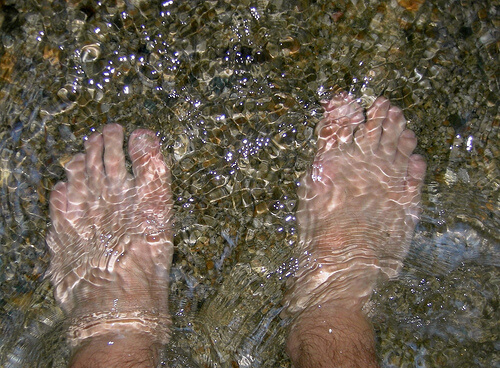 Feet bathing in water.