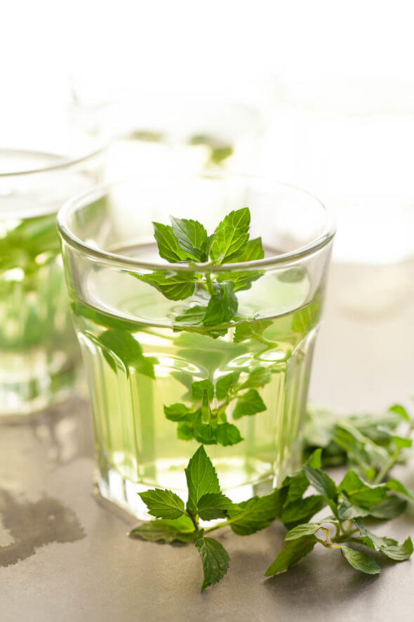 Fresh mint tea infusion