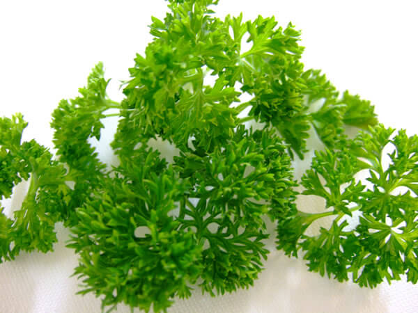 parsley to cure a sty