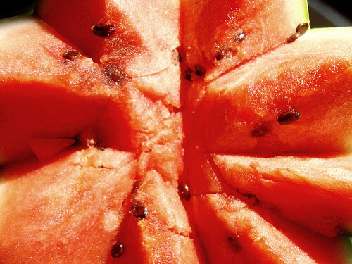 The Watermelon Diet