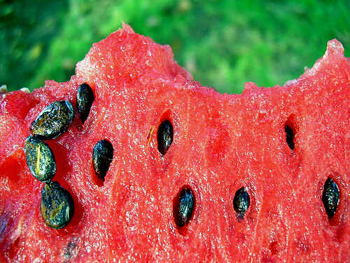 Close-up of a slice of seeded watermelon