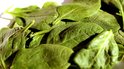 Spinach is useful for dizziness