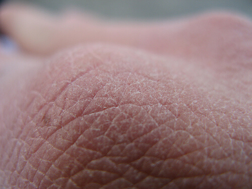 9 Things About the Human Body You Probably Didn't Know