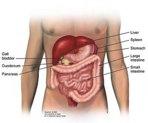 6 Symptoms of Pancreas Problems