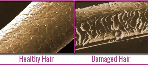 Close up images of healthy and damaged hair
