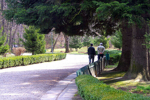 Elderly couple walking in a park greenery detect alzheimer's through the eyes