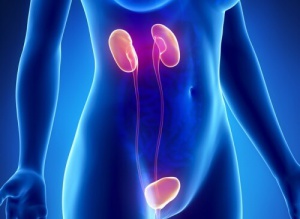 10 Symptoms of Kidney Failure and How to Prevent Them