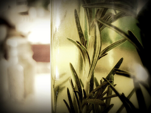 Rosemary oil uses include medical uses