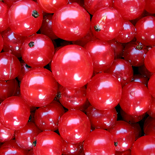 Cranberry is one of the best fruits to combat aging
