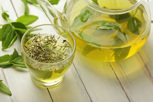 Green tea, one of the medicinal plants for weight loss