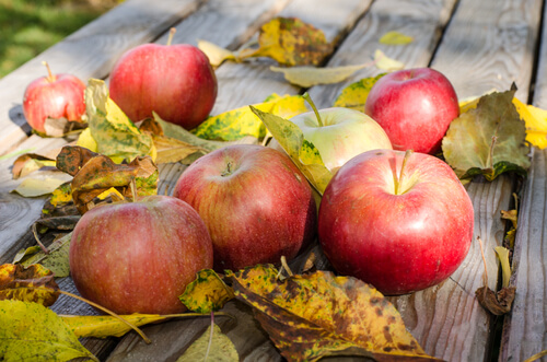 eating apples to soothe varicose vein pain